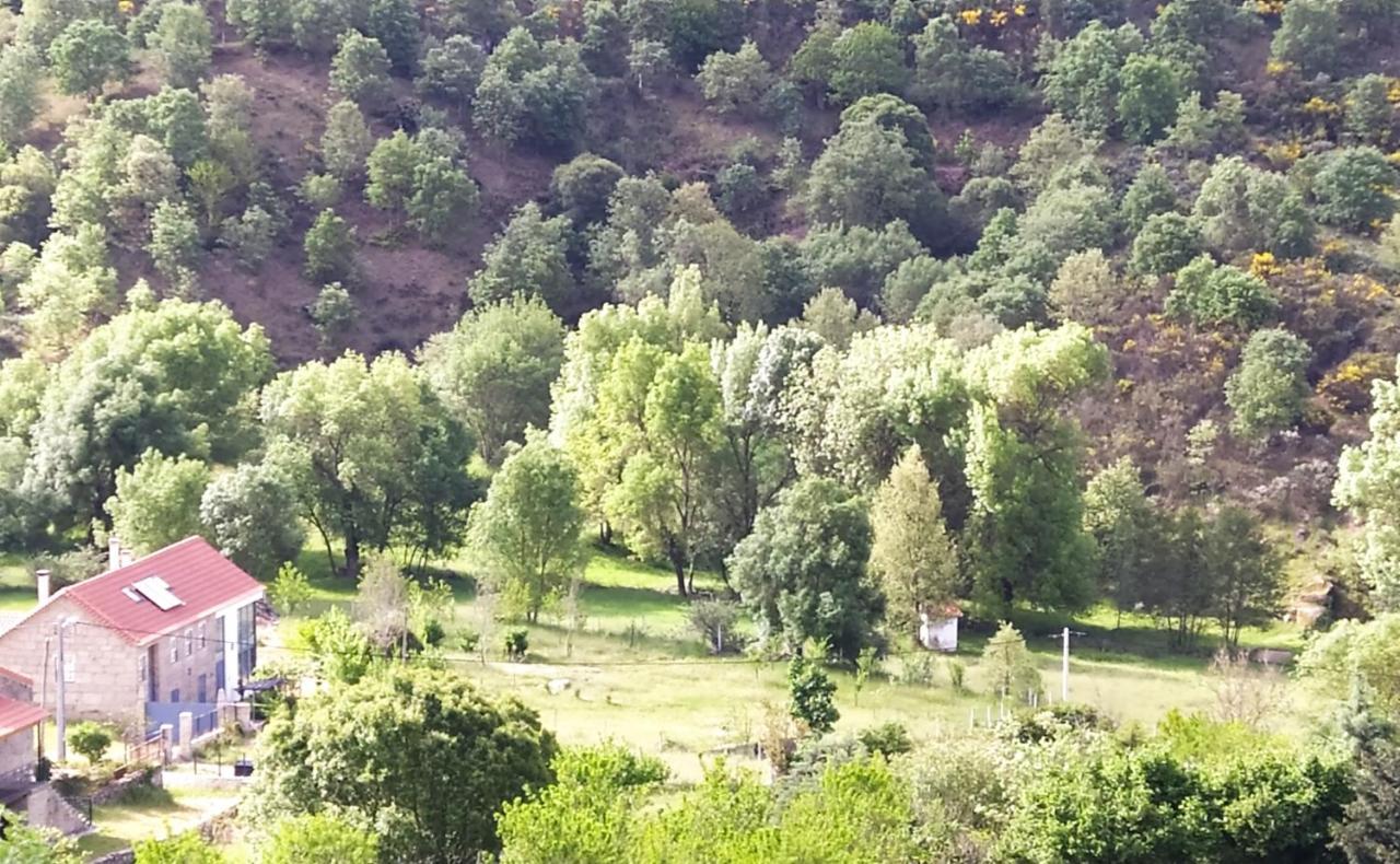 Turismo Rural Macieira Brava Guarda Eksteriør billede